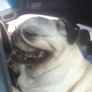 Meet your Posher, Raymond